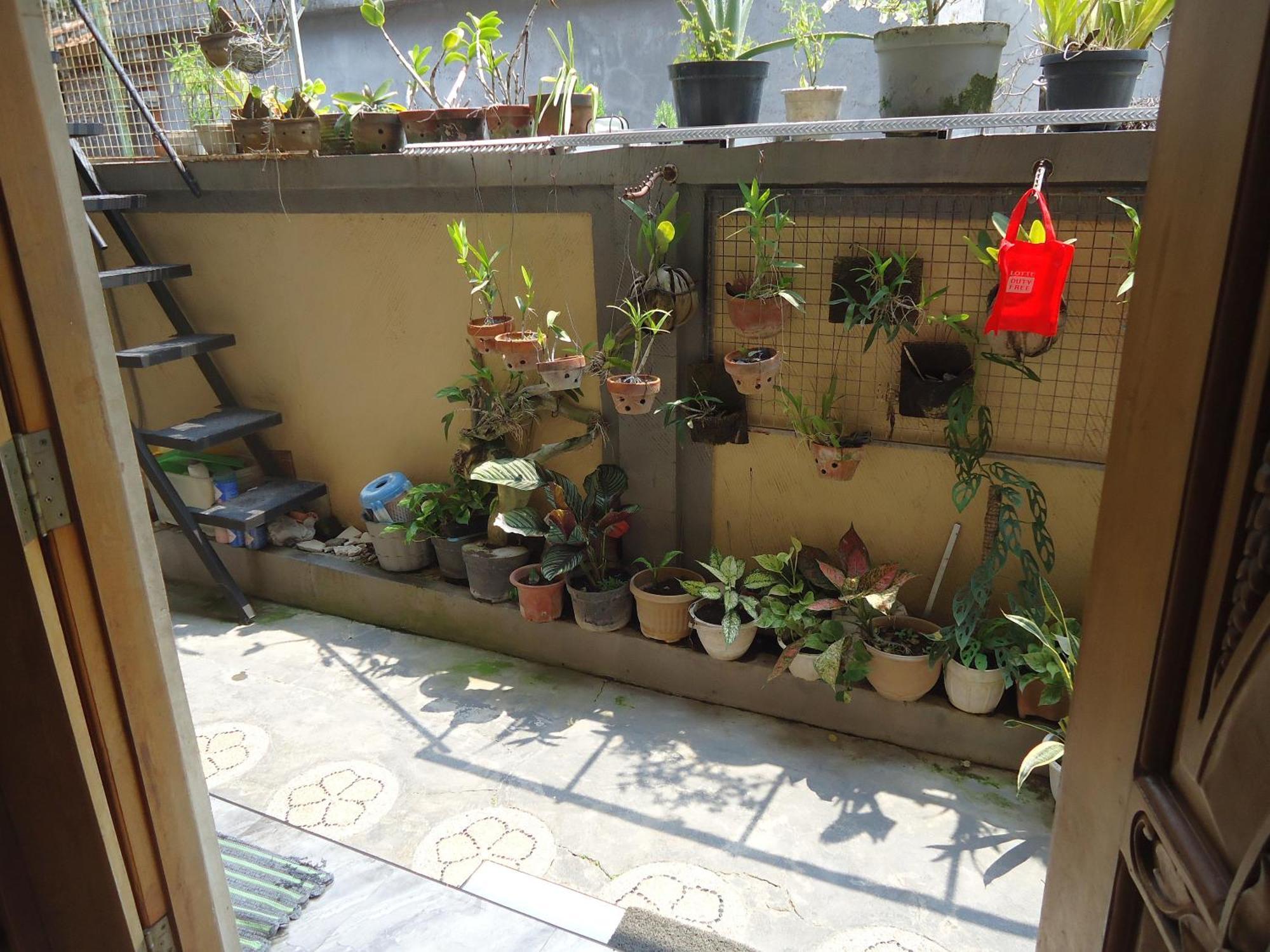 The Reinhold Guesthouse Bali Kerobokan  Exterior photo